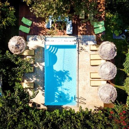 Turdus Merula Retreat Nea Makri Exterior photo