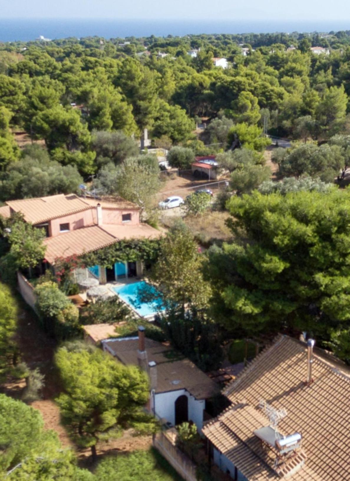 Turdus Merula Retreat Nea Makri Exterior photo